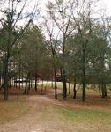 The View