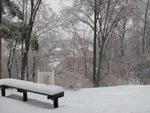 Winter_1.jpg