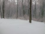 Winter_2.jpg