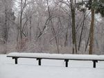 Winter_3.jpg
