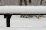 Winter_4.jpg