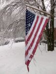 Winter_5.jpg