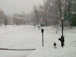 Winter_6.jpg