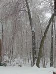 Winter_7.jpg