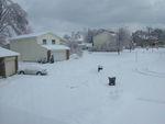Winter_8.jpg