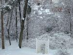 Winter_11.jpg