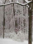 Winter_12.jpg
