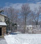 Winter_19.jpg