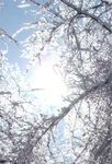 Winter_23.jpg