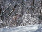Winter_24.jpg