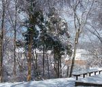 Winter_25.jpg
