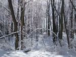 Winter_26.jpg