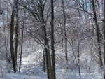 Winter_27.jpg
