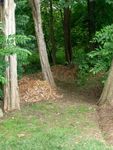 Path