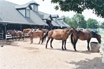 Round Up