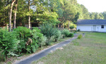 Pathway