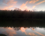 Reflection