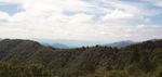Skyline