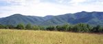 Walton Mountain?