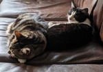 We're Sleeping