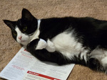 Paper Guard