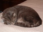 Sphinx 04