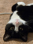 Upside Down
