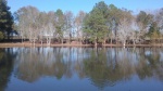 Pond Width