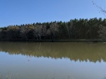 Calming