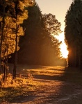 Beautiful