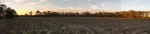 Big View