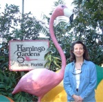 Flamingo Friend