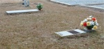 The Site