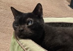 Is He Watching?