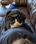 Mine