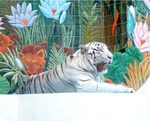 Siegfried & Roy