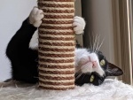 Upside Down
