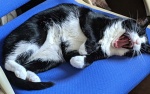 Yawn