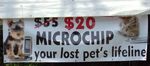 Promotion