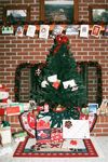 Santa Evidence